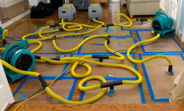 Professional Structural Drying And Dehumidification technician working in Wilkinson, WV