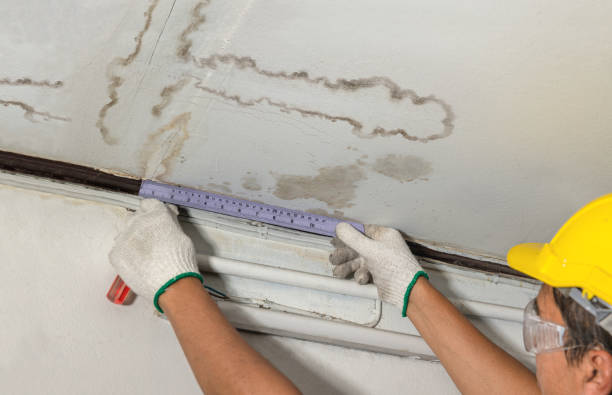 Affordable Water Damage Repair solutions in Wilkinson, WV
